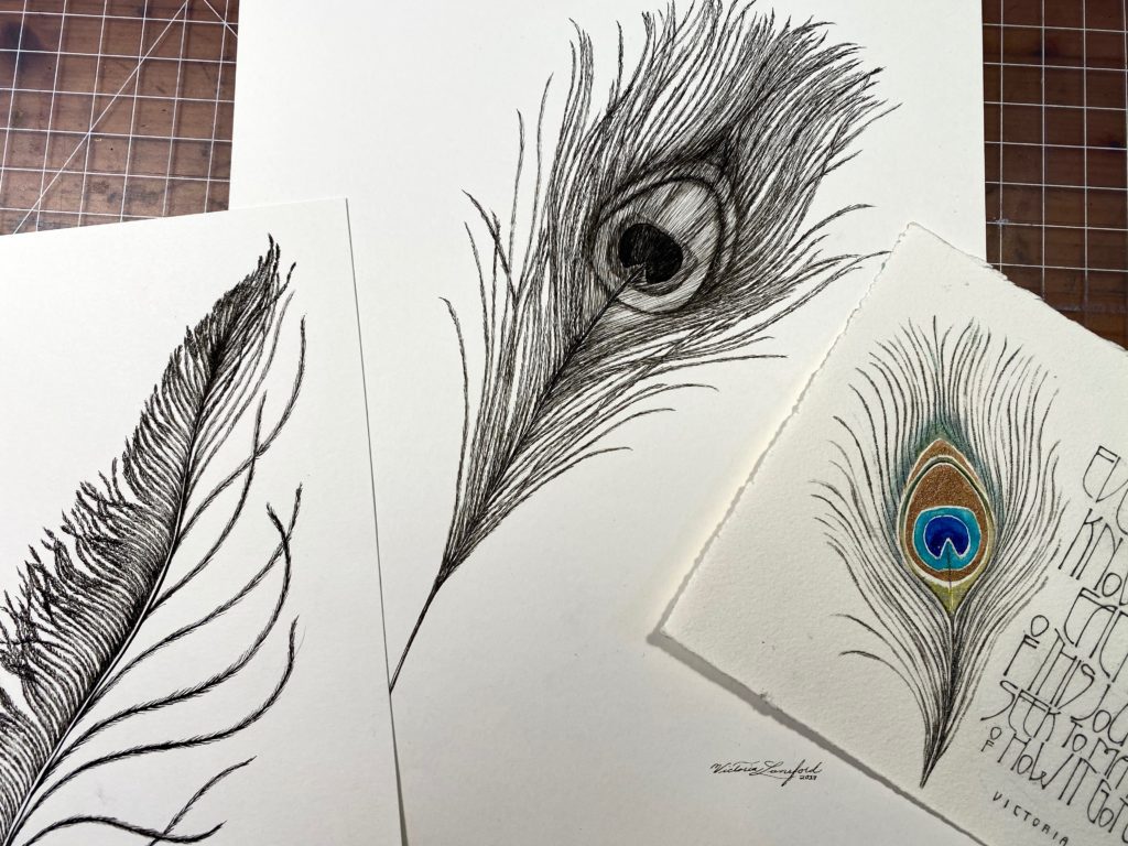 Various peacock projects by Victoria
