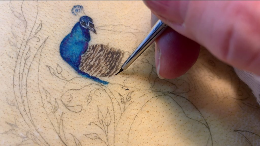 Peacock Splendor III, in progress miniature illumination, based on the photo I took of the peacock at Los Poblanos
