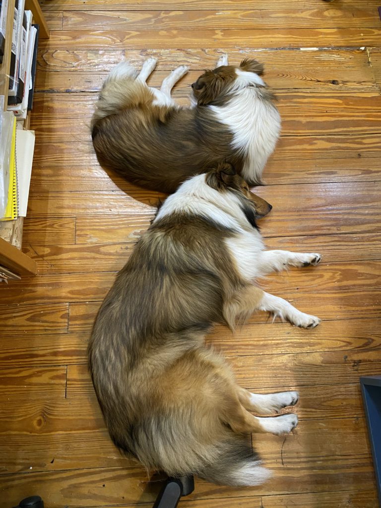 Bou and Lizzie in the studio