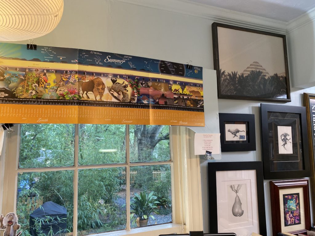 Summer from the 2020 ECOlogical Calendar
