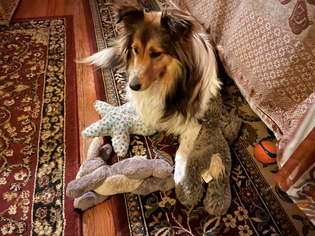 Lizzie with many toys